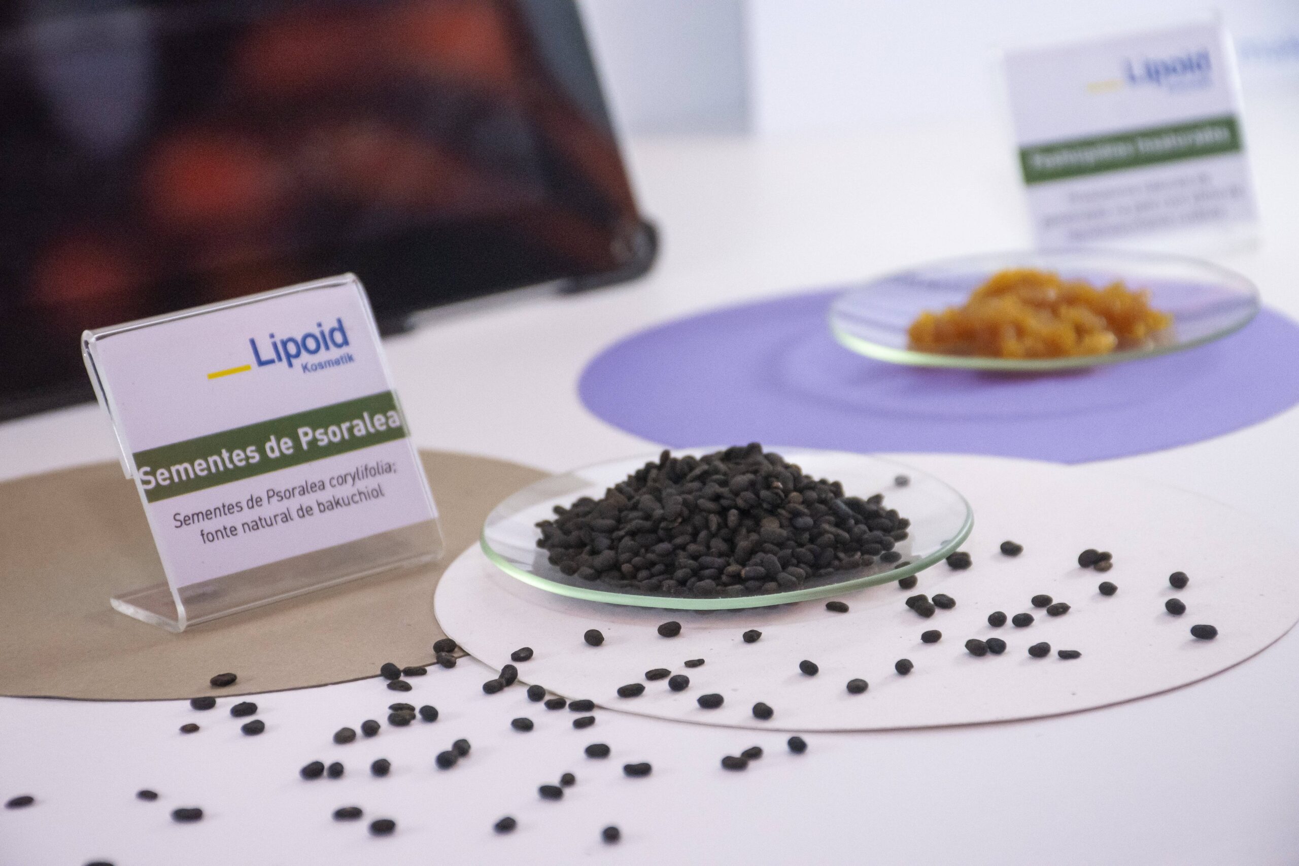 f14fotografia_NMB_FCE_20240604_0479expo_innovation_challenge-min-297057_6000-4000-0-0